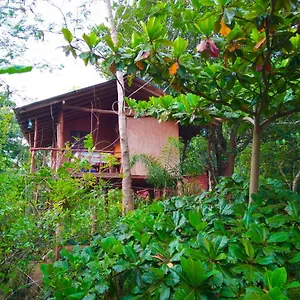 Akash Treehouse Сигирия